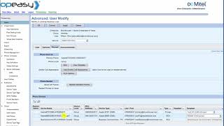 Mitel OpEasy v 10 How to Change a User Name [upl. by Bennion477]