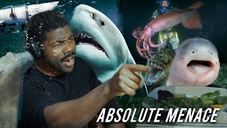 These Fish are leagues worse than sharks  The Chill Zone Reacts [upl. by Esilec]