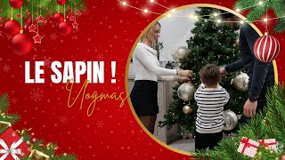 UN SAPIN AVEC DES FLEURS   VLOGMAS [upl. by Basil]