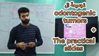 تجميعة ال Odontogenic tumors  ال practical slides  أورال باثولوجي  عزت شومان [upl. by Anile]