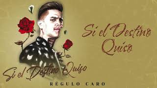 Si El Destino Quiso  Régulo Caro Video Lyric [upl. by Nilved355]