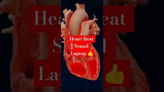 Heart Beat Sound Laptop 💞 heart heartbroken  Neet [upl. by Autumn]