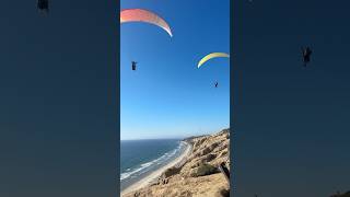 paragliders  torrey pines gliderport 🪂 san diego california paragliding travelvlog [upl. by Kathye]