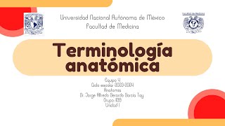 Terminología anatomica [upl. by Ocko]