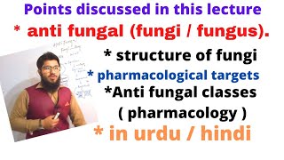 anti fungal  pharmacology in urdu  hindi by dr uut lectures [upl. by Mirilla]