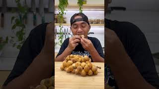 AUTO MATA MELEK MAKAN BUAH INI buah [upl. by Tempest]