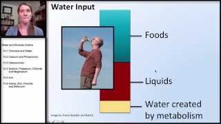 101 Minerals Water amp Mineral Overview [upl. by Eliseo]