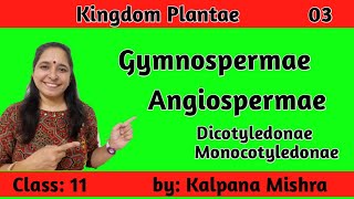 KINGDOM PLANTAE 03 GYMNOSPERMAE amp ANGIOSPERMAE CLASS 11 [upl. by Joya746]