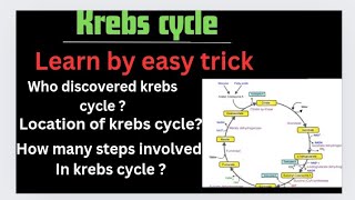 krebs cycle easy trick to learn TCA cycle🔥 very easy notes in simple language biochemistry [upl. by Aramahs]