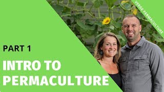 Introduction to Permaculture  Part 1 [upl. by Trisa]