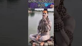 అమ్మ అఘోరా ఏమి ఆహారం తింటారు🔱🔥📿agora viralshivayoutubeshorts kasitrending viralvideo [upl. by Alyose472]