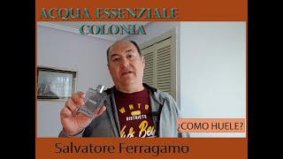 ACQUA ESSENZIALE COLONIA SALVATORE FERRAGAMO ¿COMO HUELE [upl. by Bettina]