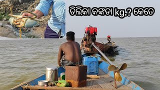 Chilika Lake Odisha Indias Largest Lake Fishing in Chilika Vlog Mr Chilika Tv [upl. by Riesman]