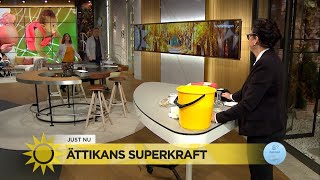 Marlene visar upp ättikans superkraft  Nyhetsmorgon TV4 [upl. by Lehcer]