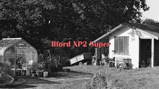 A Roll of Ilford XP2 Super [upl. by Sidwohl]