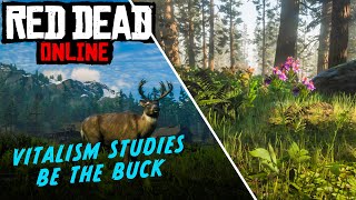 HOW TO Turn into a BUCK in Red Dead Online Quick and Easy Guide  VITALISM STUDIES [upl. by Daffi]