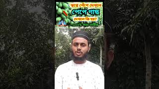 স্বপ্নে পাকা পেঁপে ও কাচা পেঁপে খেতে দেখলে ব্যাখ্যা কি হবে  sopne pepe dekle ki hoy  বাহাউদ্দিন [upl. by Rumpf147]