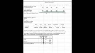 Cash Payments Schedule [upl. by Linskey]