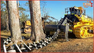 300 Most Amazing Heavy Machinery Clear The Forest Land With Anchor Chains And Bulldozers ► 28 [upl. by Bertsche]