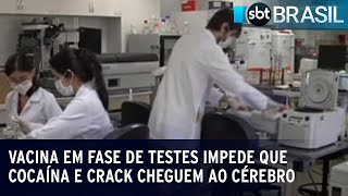 Vacina em fase de testes impede que cocaína e crack cheguem ao cérebro  SBT Brasil 050623 [upl. by Shulock]