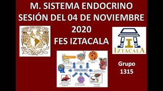 M Sistema Endocrino Sesión del Miércoles 04 de Noviembre del 2020 [upl. by Nhor]