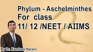 Phylum  Aschelminthes  Nemathelminthes  Nematoda class 11 12 NEET  AIIMS By DR KAMLESH NARAIN [upl. by Airenahs]