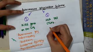 21 4 autoimmune polyglandular syndrome mp4  ENDOCRINE [upl. by Anak]