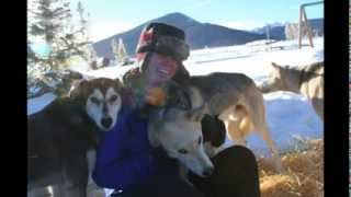 Snow Mountain Ranch Dog Sledding [upl. by Neala850]