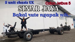 5 Chasis Sinar jaya Hino RK8 sudah tiba karoseri Adi putro  apakah nantinya untuk jalur ngapak ⁉️ [upl. by Horacio]