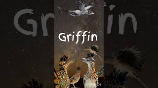 nope cover griffin [upl. by Stucker753]