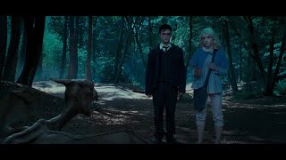 Harry se encuentra con Luna Lovegood  Harry Potter y La Orden del Fénix Latino [upl. by Thanos]