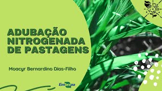 Adubação nitrogenada de pastagens [upl. by Libna]