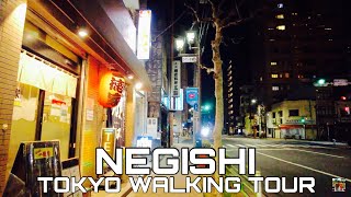 🇯🇵4K｜夜の根岸と下谷散歩 ～うぐいす通りを鶯谷駅から入谷駅へ～ 【Negishi in Tokyo】 [upl. by Ennael]