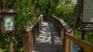 Gumbo Limbo Nature Center [upl. by Neelav]