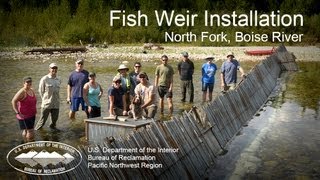 Fish Weir Installation North Fork Boise River [upl. by Jochebed]