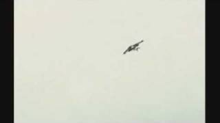 Rocketman flies Jet pack FULL VID [upl. by Mill817]