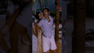 Watch full video👆 nilakayuthu from sakalakalavallavan kamalhaasan vaalihits vaali shorts [upl. by Blasien]