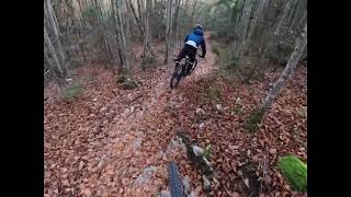 MTB Trail Schafkopf  short [upl. by Adhern869]