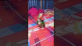 Miss 👀 you Mithu🦜 trending sortvideo [upl. by Murat432]