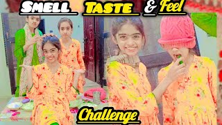 SMELL TASTE amp FEEL CHALLENGE 😱 MAHAM NY KI CHEATING VLOG By NANHI SABEEN ❤️ [upl. by Anahsat]