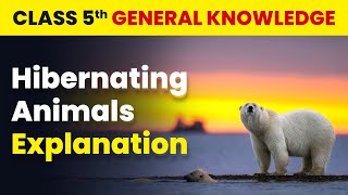 Hibernating Animals  Explanation  Class 5 General Knowledge  CBSE 202425 [upl. by Resee]