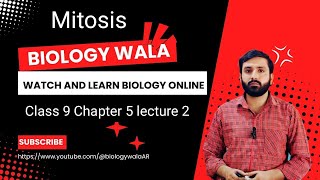 biology class 9 chapter 5 lecture 2  mitosis  mitosis phase of cell cycle  mitosis in hindi [upl. by Elinad568]