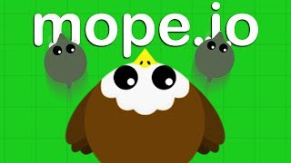 AMAZING New BALD EAGLE ANIMAL  Mopeio Gameplay [upl. by Menashem120]