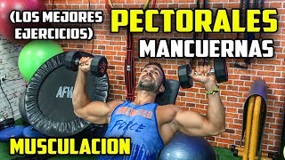 🔴 Los Mejores Ejercicios PECTORAL con MANCUERNA  EJERCICIOS MUSCULACIÓN PECTORALES [upl. by Bearce230]