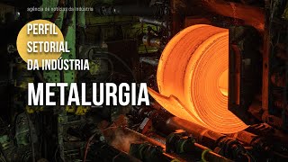 Conheça o setor de metalurgia  2024 [upl. by Rosalynd]