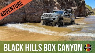 BEST BOX CANYON IN ARIZONABLACK HILLS BOX CANYONOVERLANDING IN MY 2020 TOYOTA TACOMA [upl. by Viole]