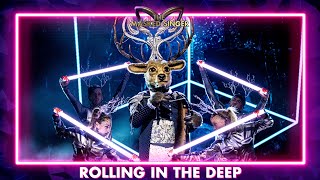 Edelhert  ‘Rolling In The Deep’  Aflevering 1  The Masked Singer  VTM [upl. by Sabas]