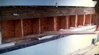 Termite Treatment amp Repair Sill Monroe New Jersey 7323094209 Termite Spray NJ [upl. by Ahselyt441]