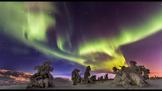 Auroras boreales Laponia Finlandia Aurora polar luces del norte  aurora polaris Rovaniemi Turismo [upl. by Machute]