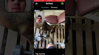 BeReal app  HOW TO USE QUICK GUIDE [upl. by Atinram]